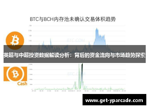 英超与中超投资数据解读分析：背后的资金流向与市场趋势探索