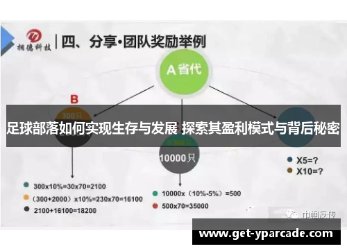 足球部落如何实现生存与发展 探索其盈利模式与背后秘密
