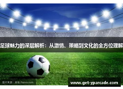 足球魅力的深层解析：从激情、策略到文化的全方位理解